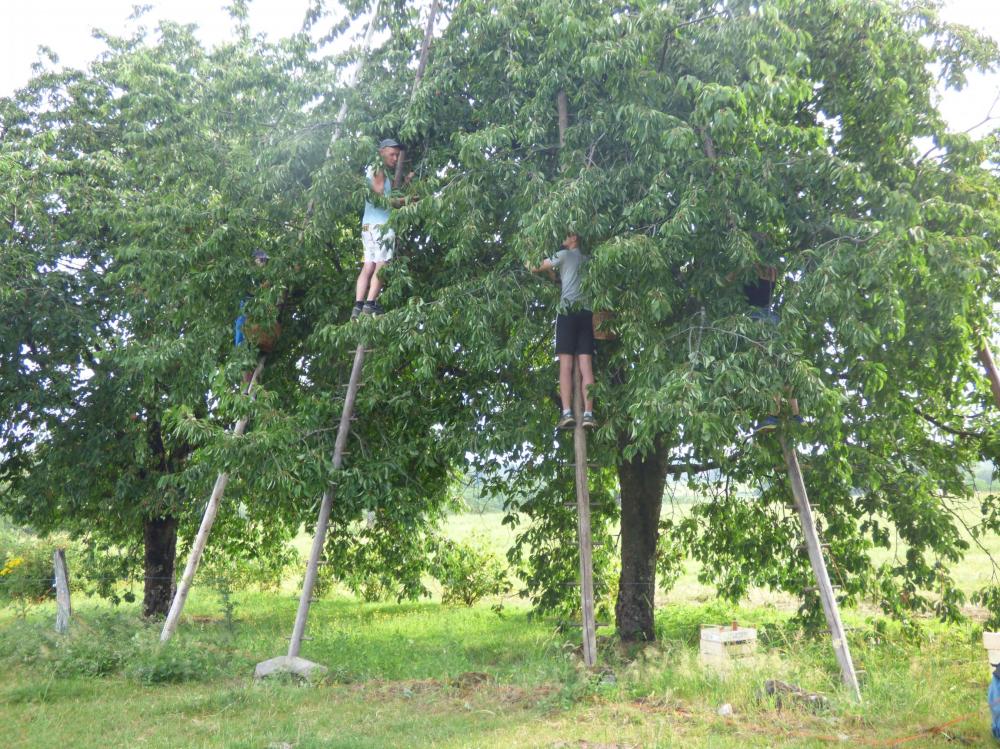 Au fil des saisons