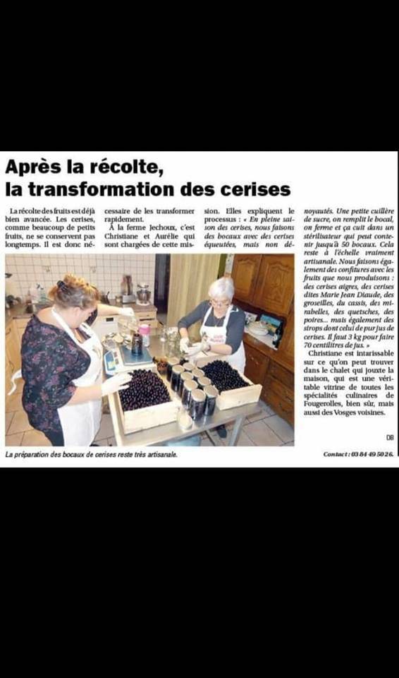 Article sur la transformation des cerises